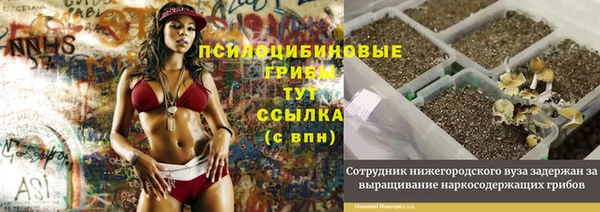 а пвп мука Ельня