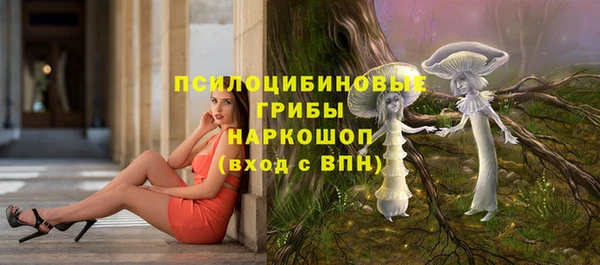 экстази Дмитриев