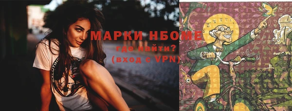 первитин Новодвинск